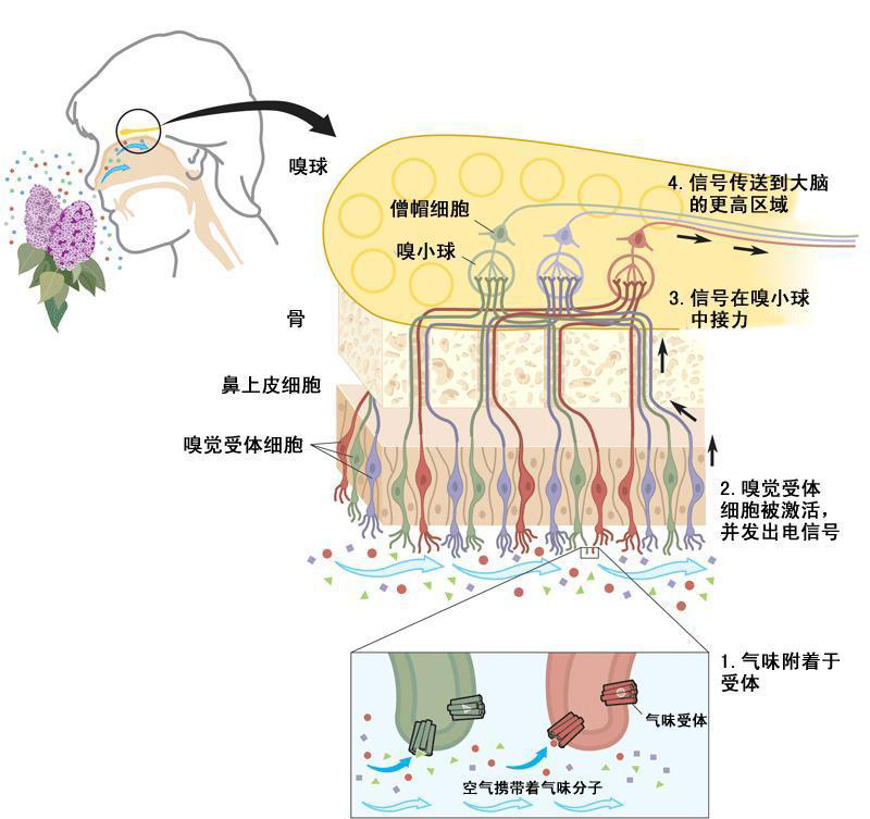 惡臭電子鼻系統